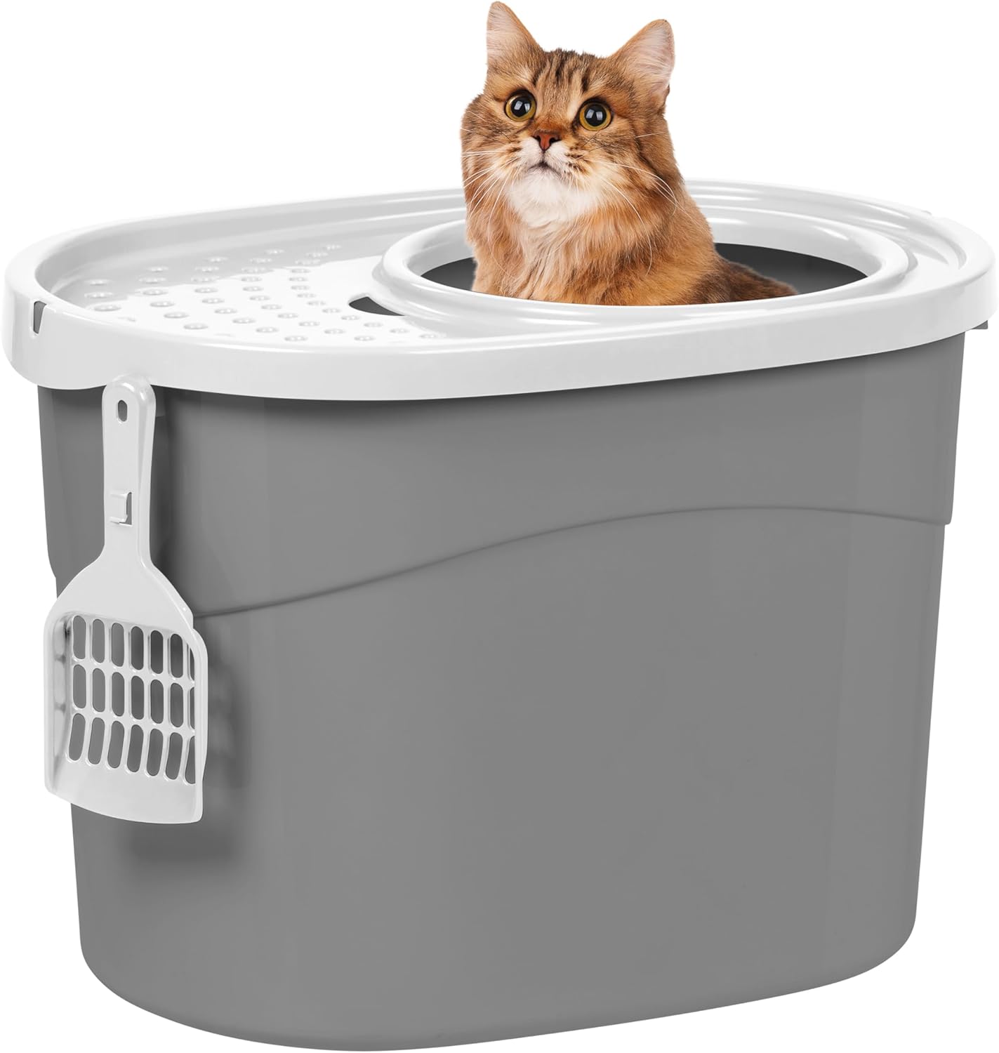 Top Entry Cat Litter Box, Large Enclosed with Litter Catching Lid and Scoop, Dog Proof, Cat Litter Box, Gray/White