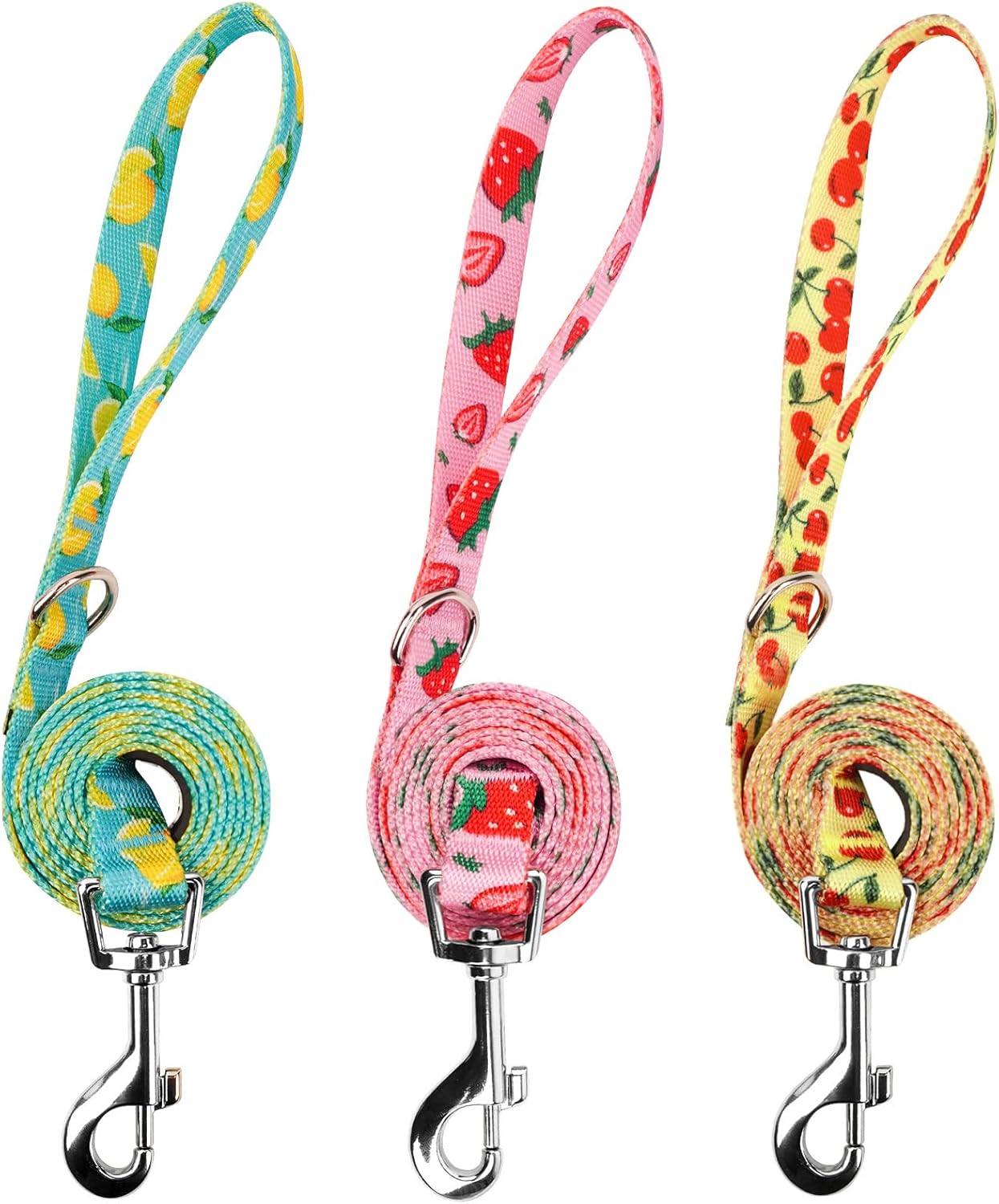 3 Pack Fruit Design Nylon Dog Leashes Strong & Durable Basic Dog Leash with Easy to Use Collar Hook for Large Dogs, L (4FT,1")