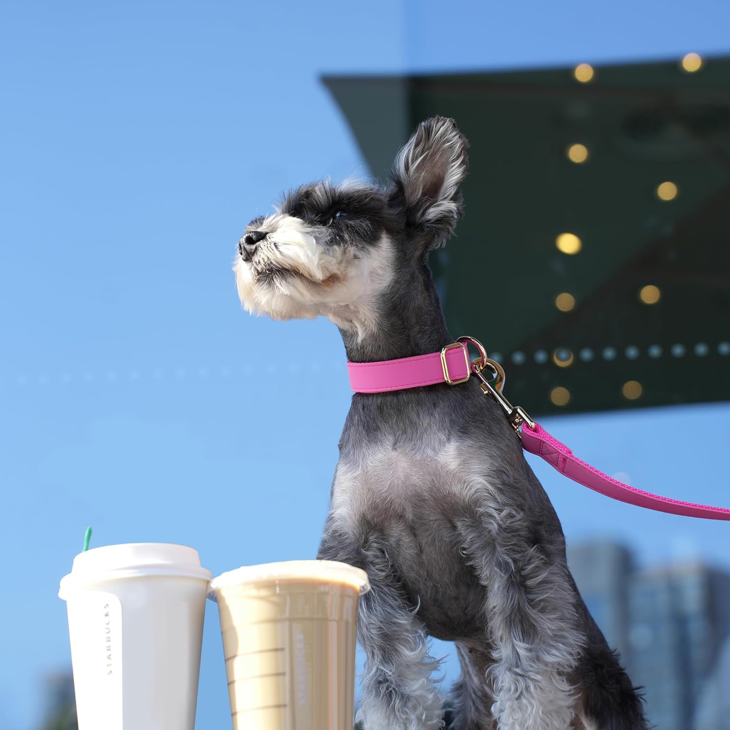 Soft Leather Dog Collar and Leash Set, Comfy & Stylish Leather Dog Leash and Collar Set, Bright & Solid Hot Pink Pet Collar with Quick Release Metal Buckle for Small Medium Large Dogs