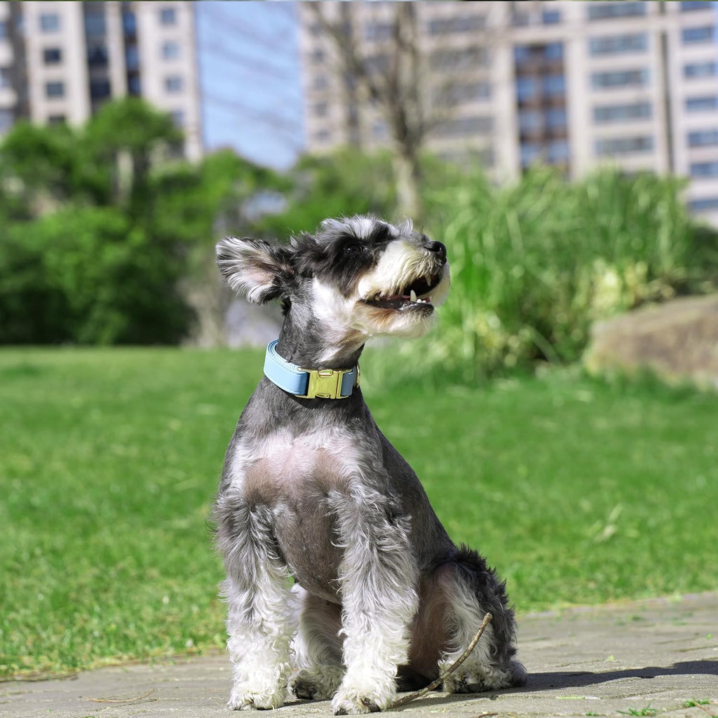 Soft Leather Dog Collar and Leash Set, Bright & Solid Nylon Blue Dog Collar with Quick Release Metal Buckle, Comfy & Stylish 5FT Dog Leash and Collar Set for Small Medium Large Dogs,Blue